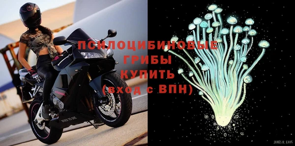 амф Абаза