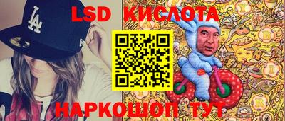 шишки Берёзовский
